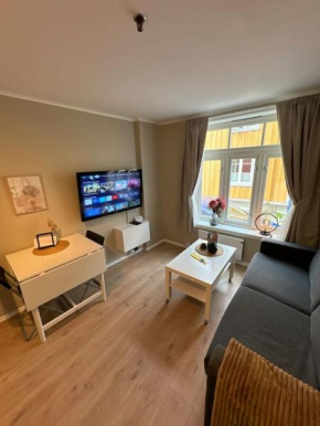 Koselig studioleilighet i sentrum